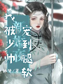 少帅的新婚夜