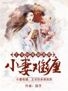 王妃小爷不稀罕 小说