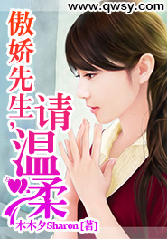 傲娇与温柔 小说