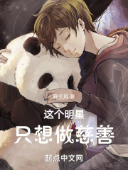 这个明星只想做慈善小说