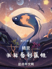 精灵：我能看到属性