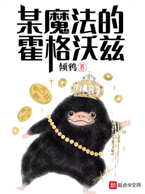小说某魔法的霍格沃茨
