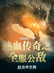 热血传奇之全服公敌 小说