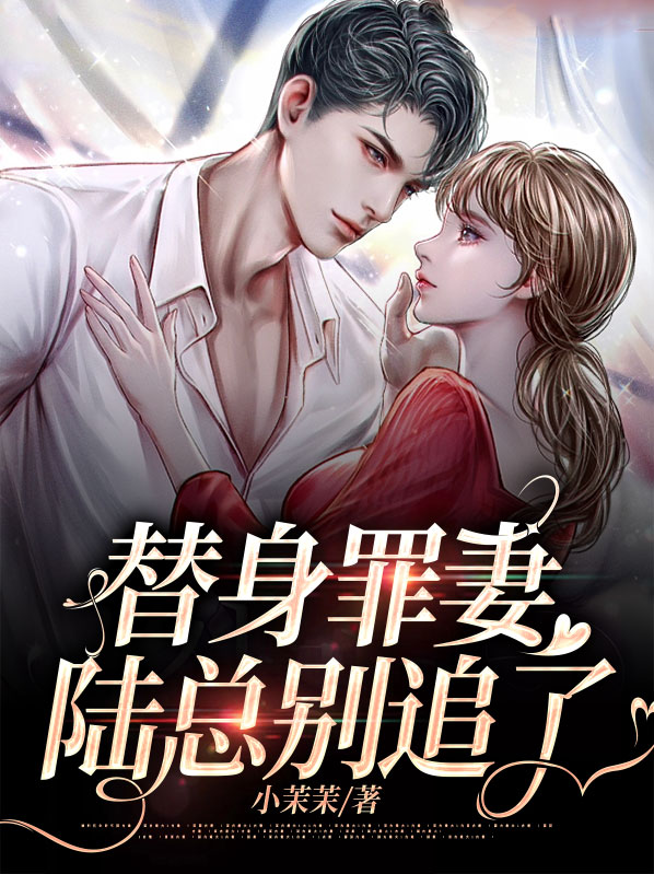 替身新娘陆总的第一宠妻小说免费阅读