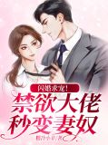 闪婚成瘾大佬妖妻宠上天小说