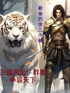 三国风云:群雄争霸天下 勤奋的徐三少