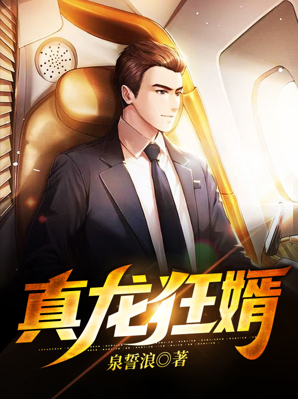 真龙狂婿TXT下载
