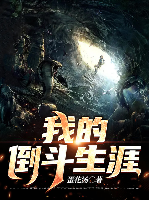 我的倒斗生涯百度网盘