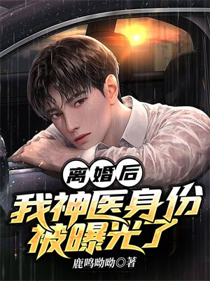 离婚后,我神医身份被曝光了