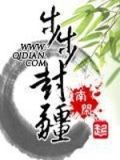 步步封疆剧情