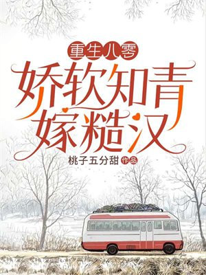 重生八零知青回城的小说