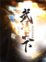 武凌天下(元枫云梦尘)小说全本免费阅读
