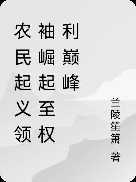 农民从政小说