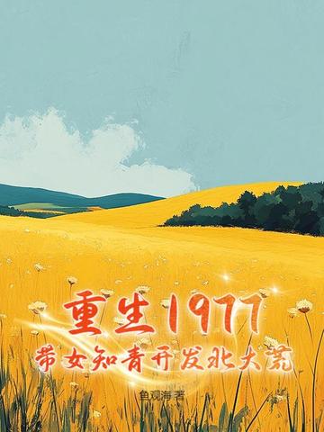 重生1976知青