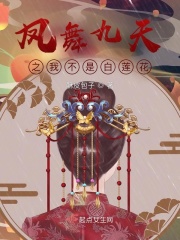 作者是凤舞九天的小说