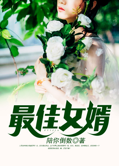 最佳女婿下载TXT