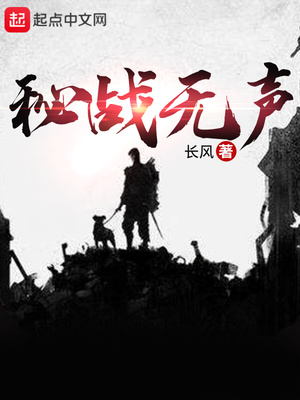 秘战无声TXT下载