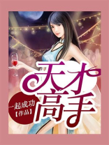 天才高手叶天龙全文免费阅读