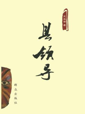 县领导