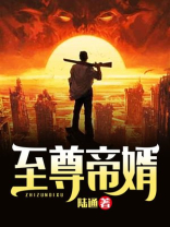 至尊帝婿秦怀道小说