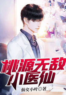 桃源无敌小医仙小说