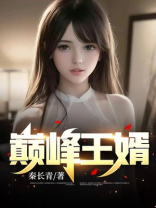 巅峰王婿 小说