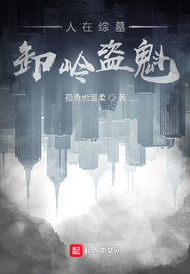 人在综墓,卸岭盗魁TXT