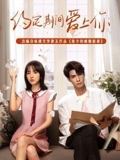 陆少的暖婚新妻完整版