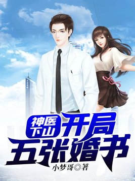 神医下山开局五张婚书TXT下载