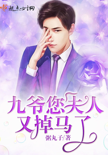 九爷您夫人又掉马了 粥丸子