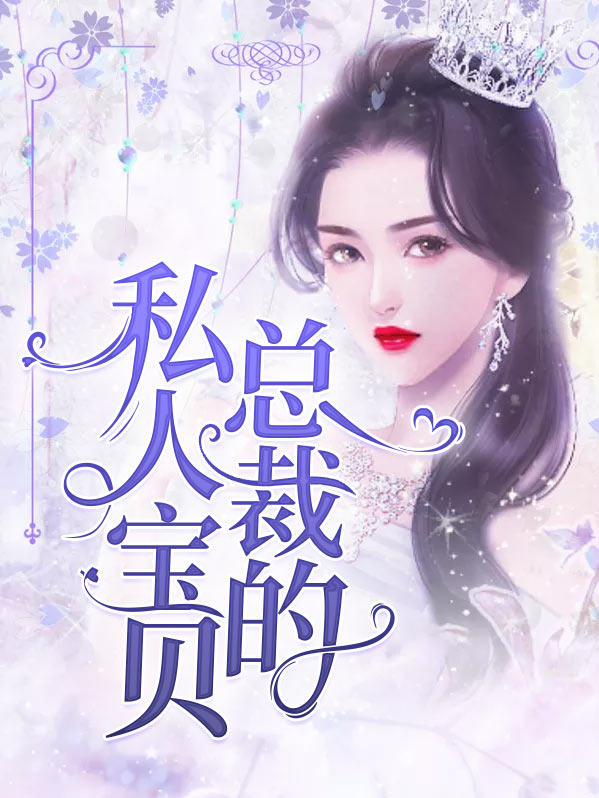 总裁的私有宝贝小说
