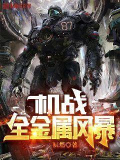 机战全金属风暴小说