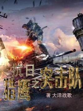 抗战之猎鹰突击队 小说