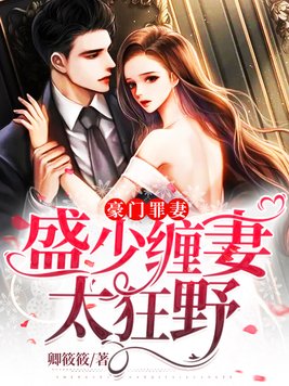 豪门罪妻:盛少缠妻太狂野小说