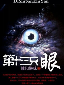 小说 第十三只眼