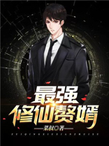 最强修仙赘婿离婚完整版
