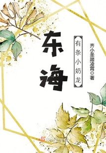 东海有条小奶龙 小说