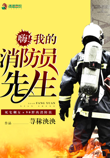我的消防员先生讲的什么