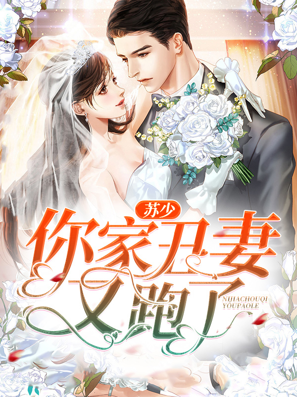 苏家少爷小说