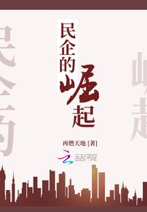 民企崛起陈浩小说