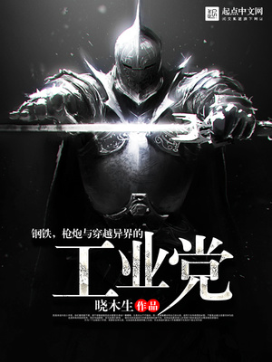 钢铁,枪炮与穿越异界的工业党类似小说