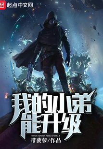 我的小弟能升级