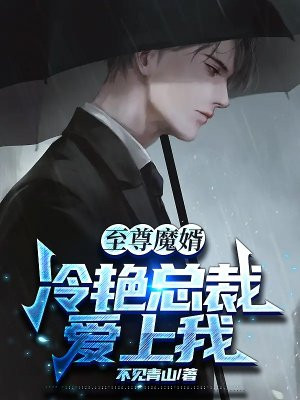 冷艳总裁的至尊兵王莫辰