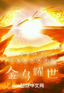 从墓综世界开始:金乌耀世 小说