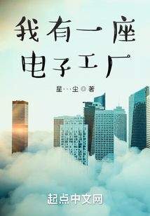 我有一座电子工厂 小说