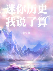 迷你历史我说了算小说
