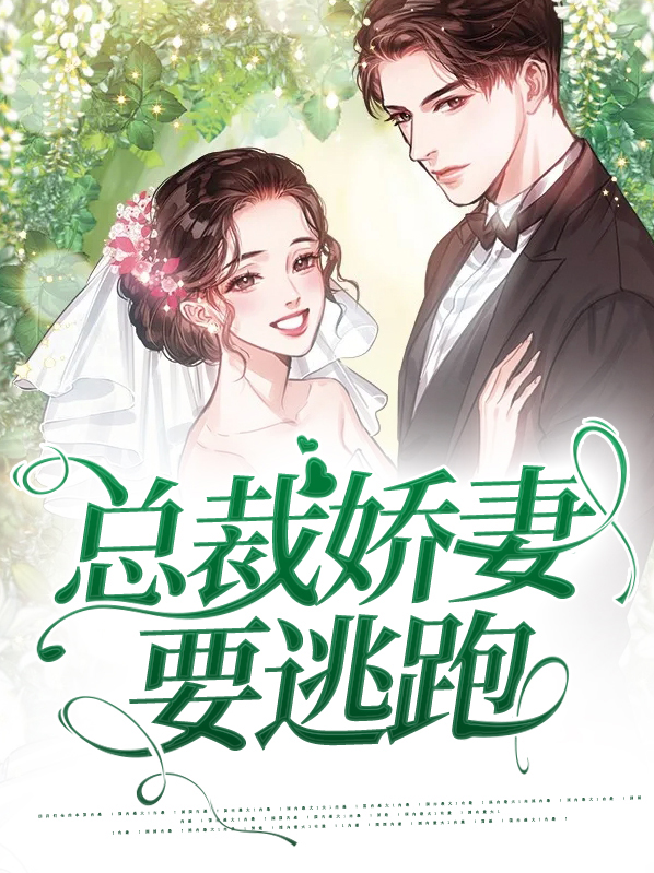 总裁的骗婚娇妻全文