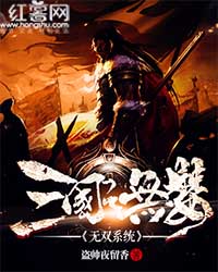 三国之无双系统 小说