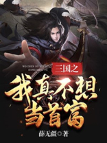 三国之我真不是