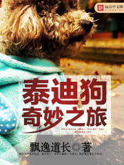 泰迪琪琪
